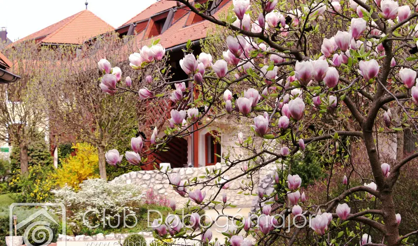 Club Dobogmajor Cserszegtomaj