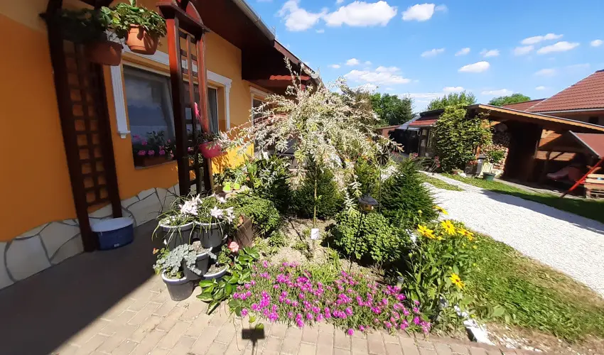 Andrea Vendghz Kehidakustny