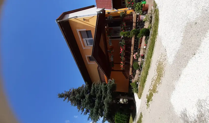 Andrea Vendghz Kehidakustny