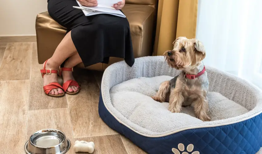 Bonvital Wellness & Gastro Hotel Hvz Hvz