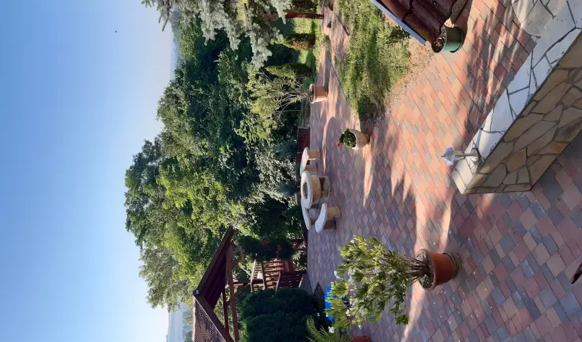 Difa Vendghz Kehidakustny