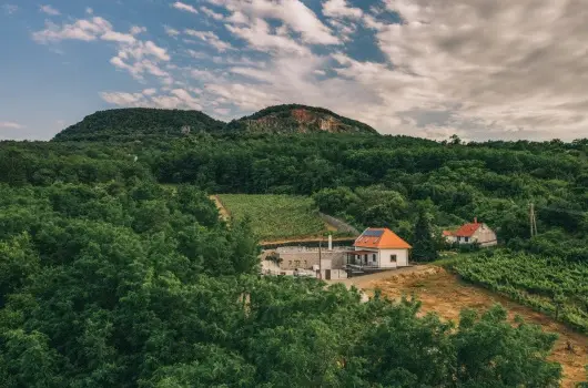 FATA Birtok Vendghz, Nemesgulcs, Hvz - 27 km