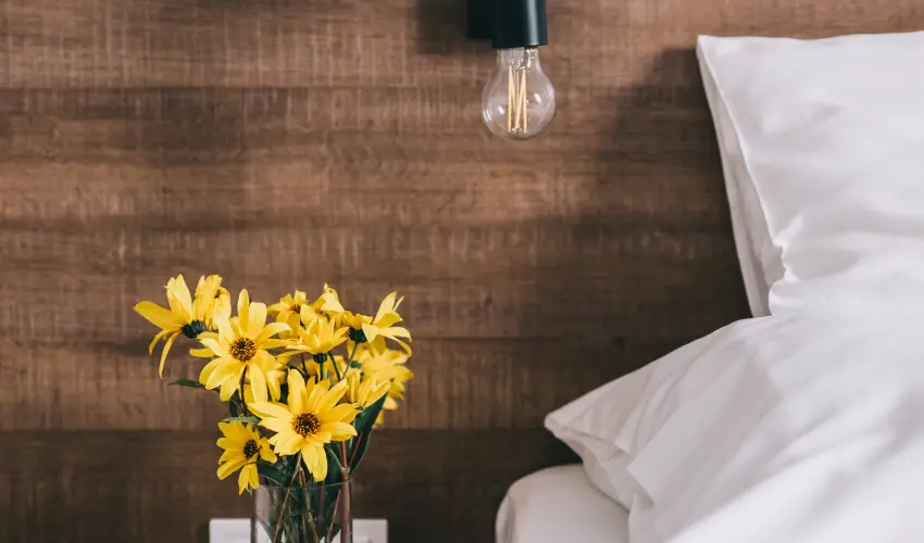 FATA Birtok Vendghz Nemesgulcs