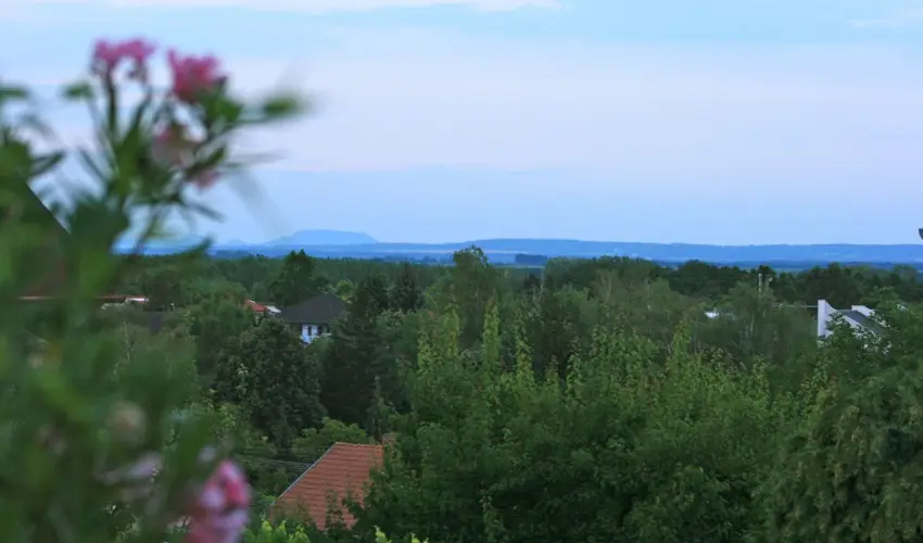 Mese Panzi Zalakaros