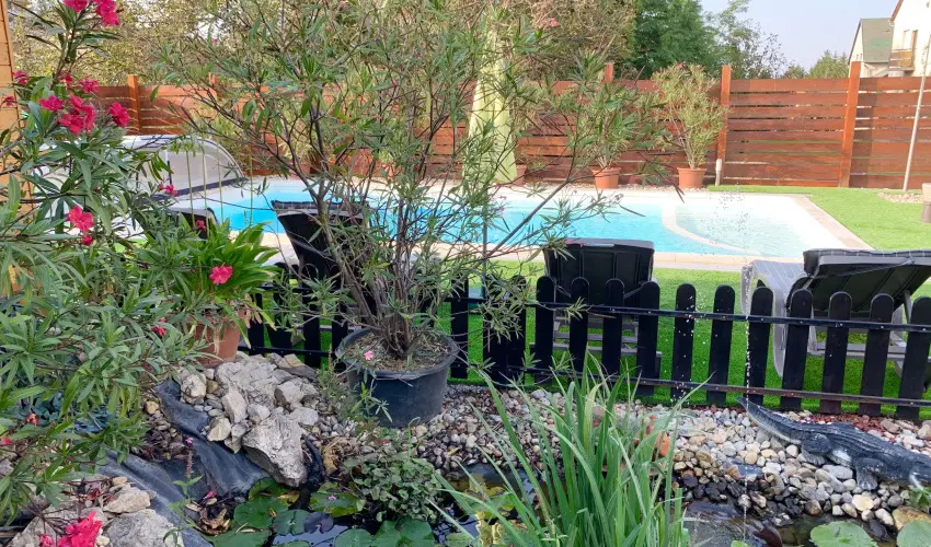 Mese Panzi Zalakaros