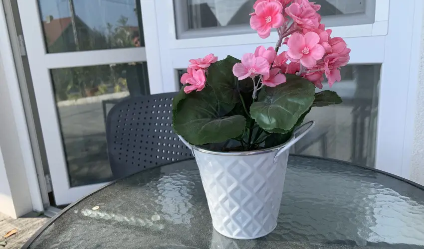 Mese Panzi Zalakaros