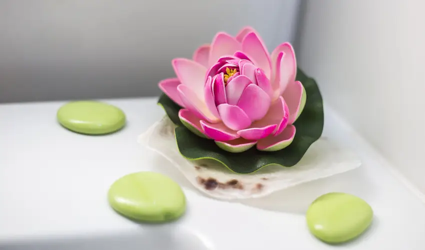 Holiday Club Apartman Hotel Hvz Hvz