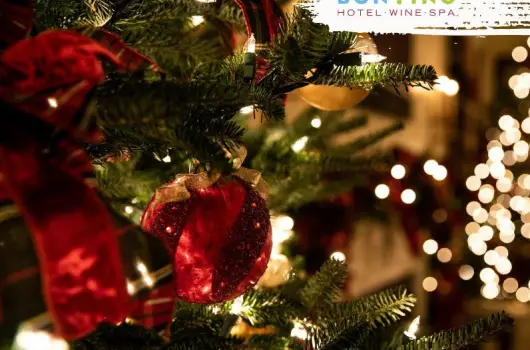 Hotel Bonvino Wine & Spa, Badacsony, H�v�z - 28 km