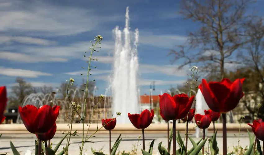 Hotel Centrl Nagykanizsa