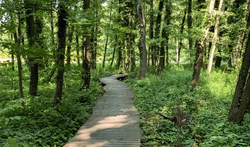 Hunguest Hotel Freya Zalakaros