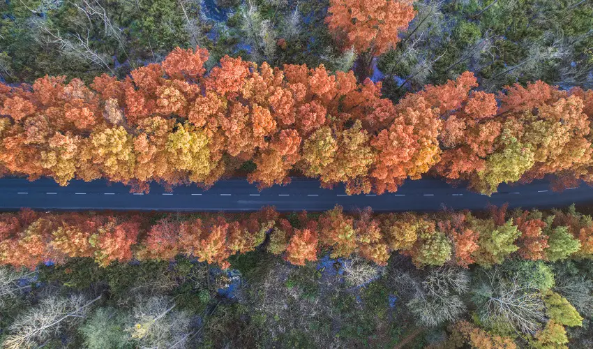 Hunguest Hotel Panorma Hvz