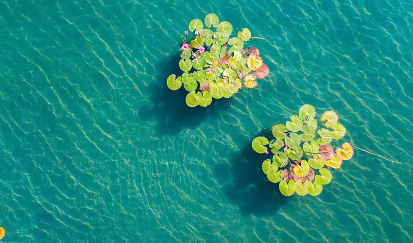 Hunguest Hotel Panorma Hvz