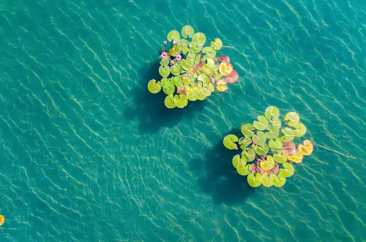 Hunguest Hotel Panor�ma, H�v�z