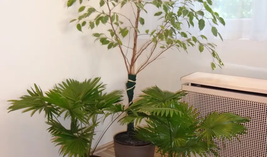 Hotel Touring Nagykanizsa