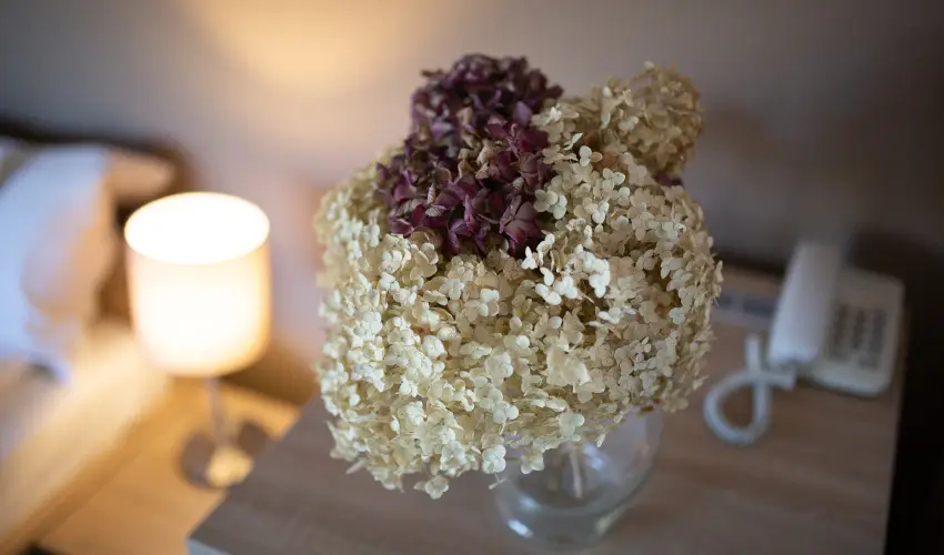 Zsanett Hotel Balatonkereszt�r