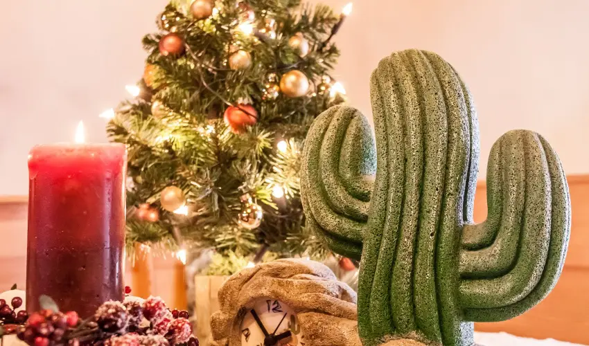 Kaktusz Villa H�v�z