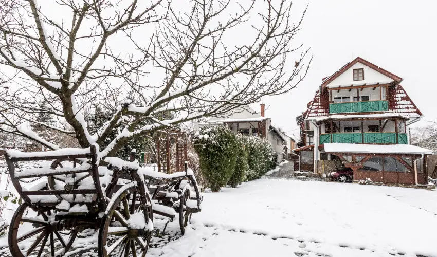 Kaktusz Villa H�v�z