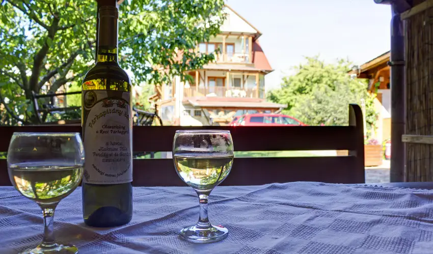 Kaktusz Villa H�v�z