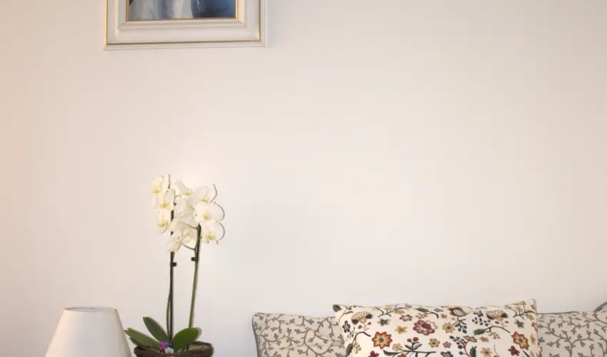 Malom-t Vendghz Tapolca