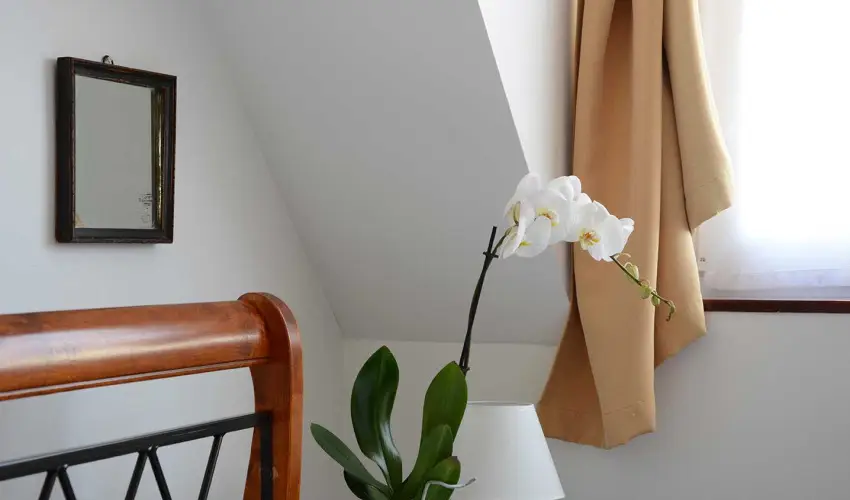 Malom-t Vendghz Tapolca