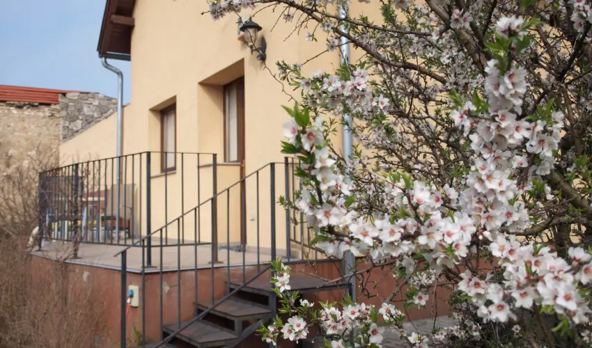 Malom-t Vendghz Tapolca