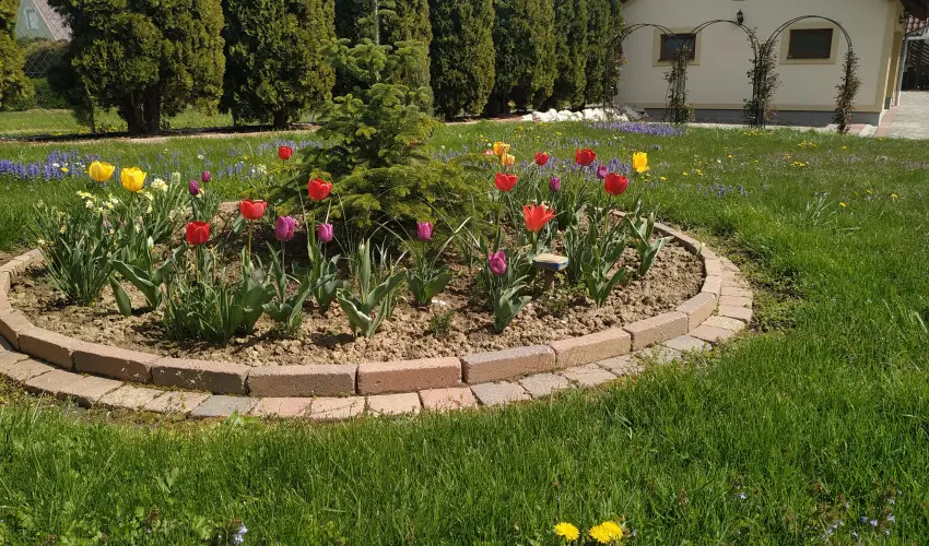 Mria Apartmanok Zalakaros