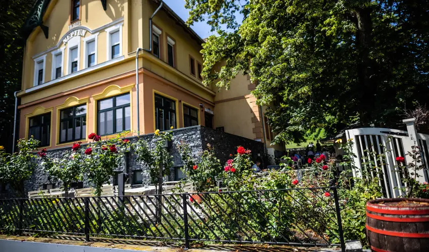 Neptun Badacsony Badacsony