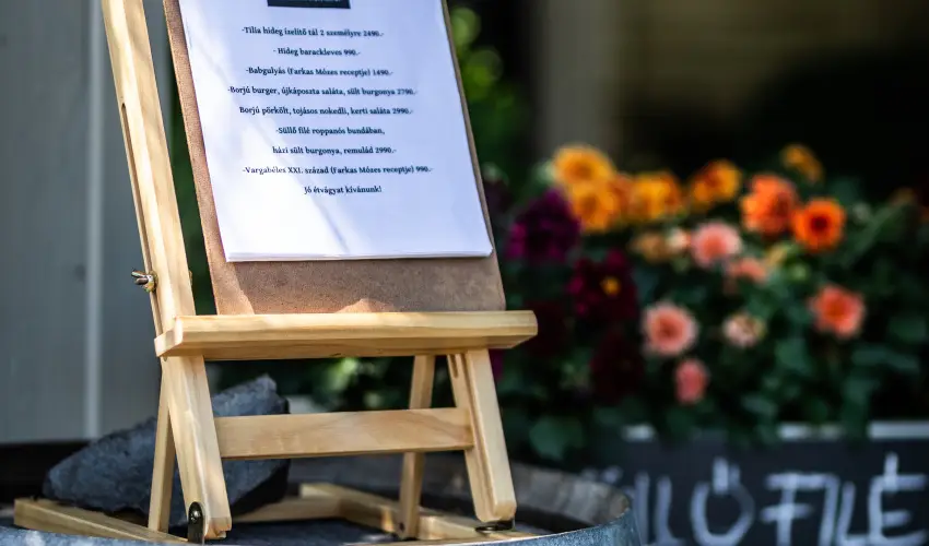 Neptun Badacsony Badacsony