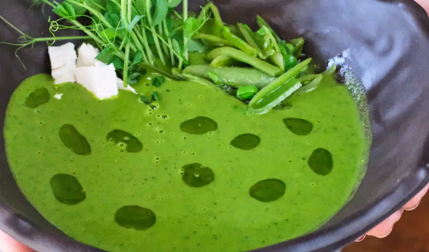 Neptun Badacsony Badacsony