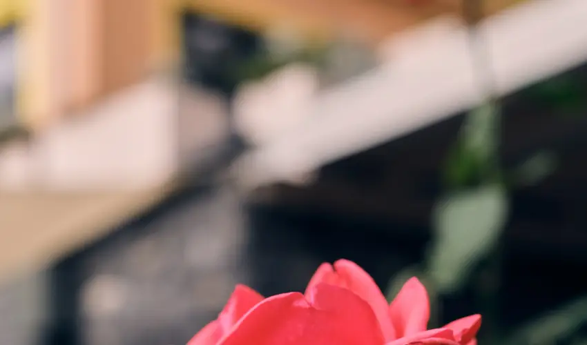 Neptun Badacsony Badacsony