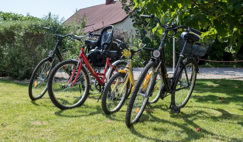 Pelso Panzi Balatonmriafrd