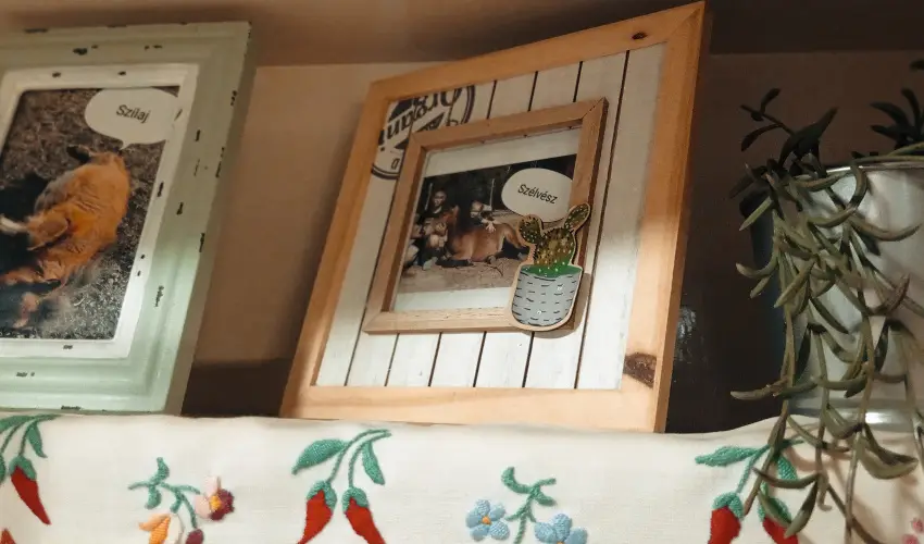 Pni Kuck Vendghz s Minifarm  Hosszvlgy