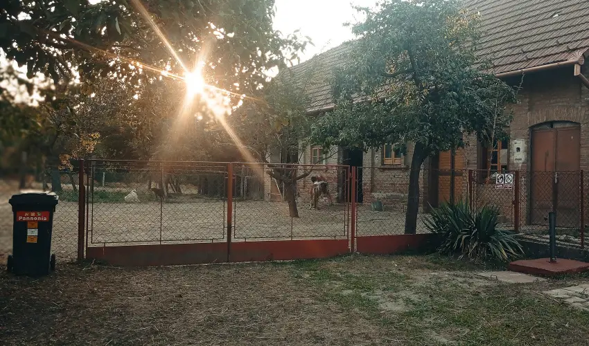 Pni Kuck Vendghz s Minifarm  Hosszvlgy