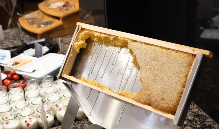 Lotus Therme Hotel & Spa Hvz