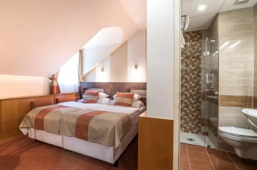 Hotel Spa H�v�z, H�v�z