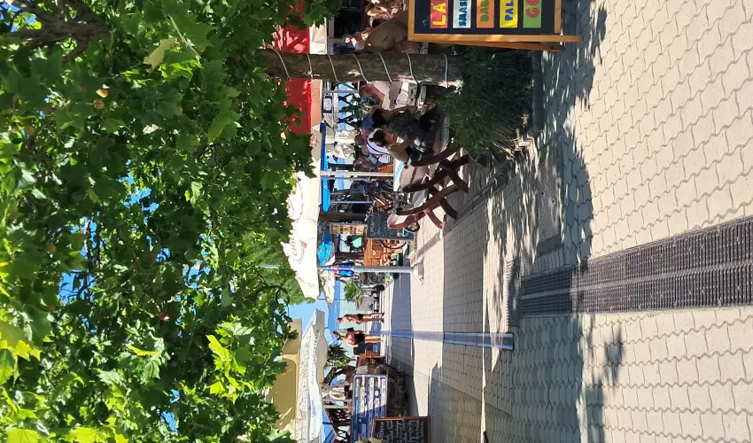 Sunshine Vendghz Balatonfenyves