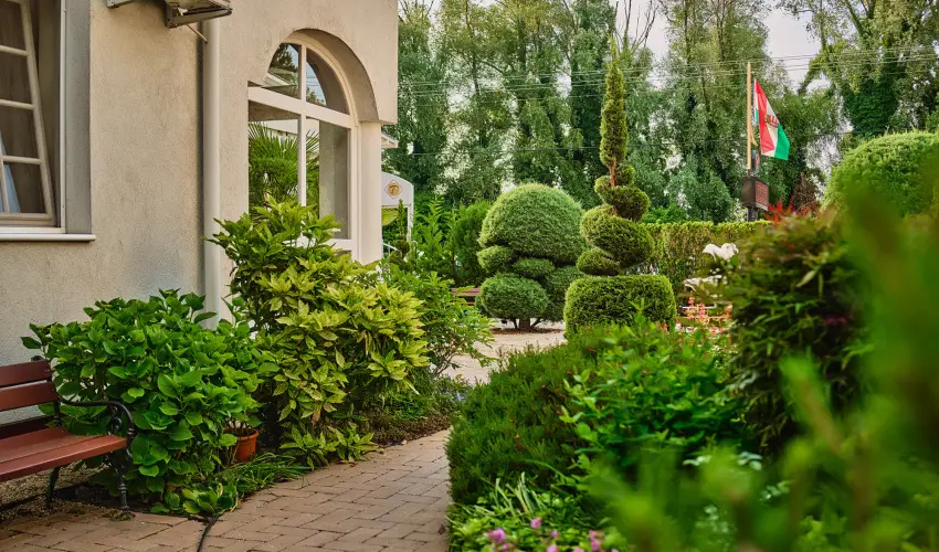 Tokajer Wellness Panzi� Keszthely