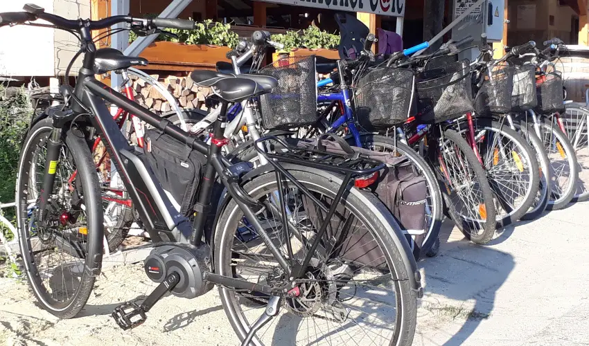 Viktor Bor- s Vendghz Balatonmriafrd