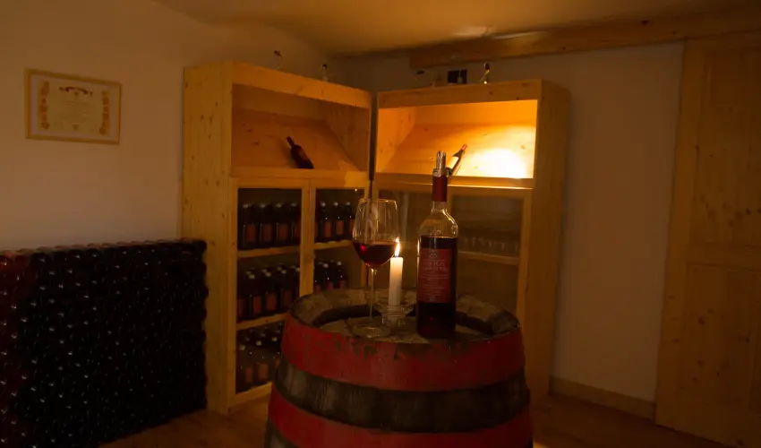 Viktor Bor- s Vendghz Balatonmriafrd