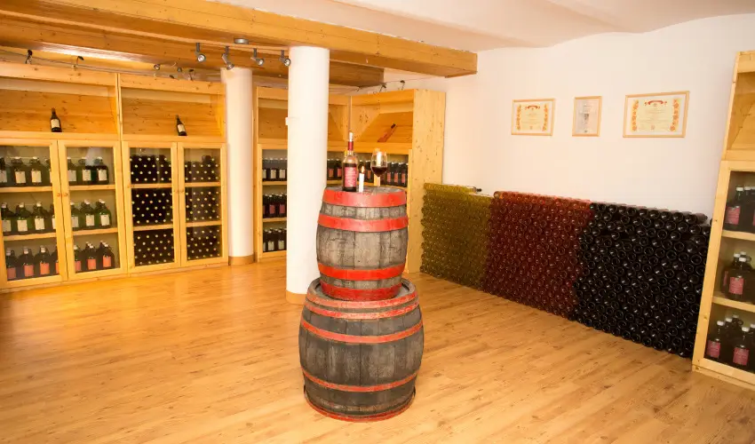 Viktor Bor- s Vendghz Balatonmriafrd