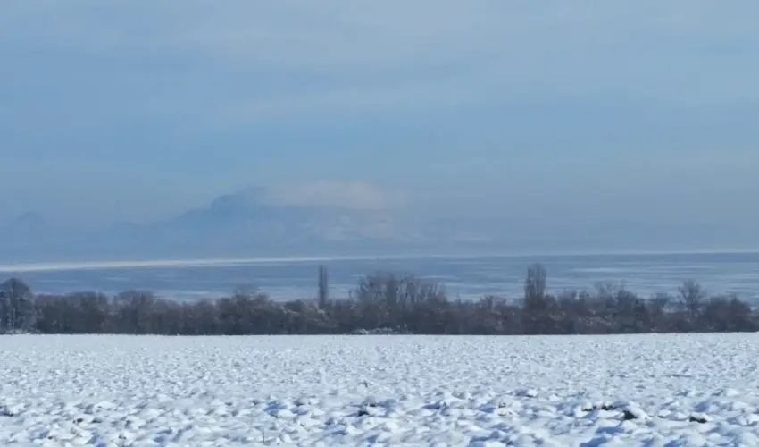 Viktor Bor- s Vendghz Balatonmriafrd
