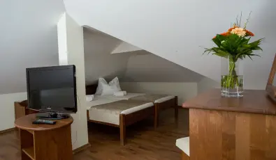 Viktor Bor- s Vendghz Balatonmriafrd