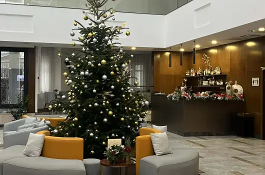 Willis Hotel Business & Wellness, Zalaegerszeg, H�v�z - 30 km