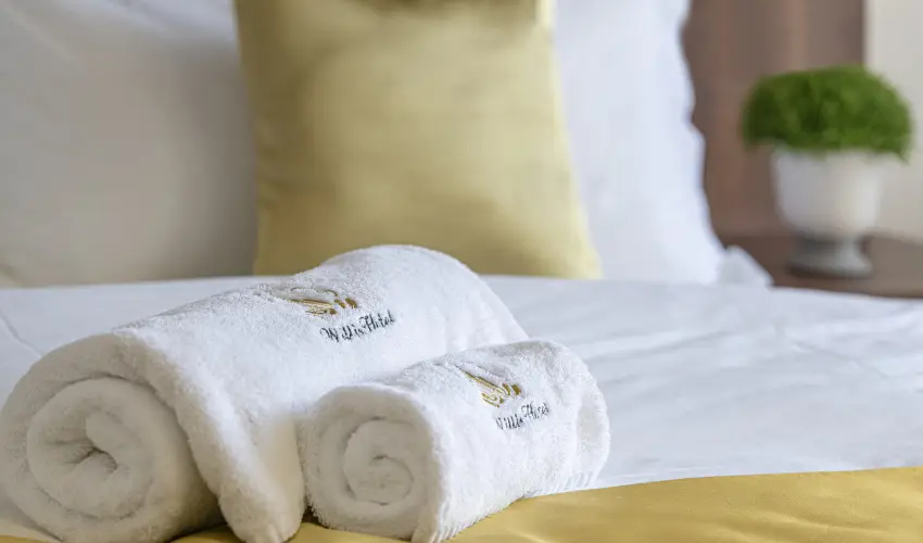 Willis Hotel Business & Wellness Zalaegerszeg