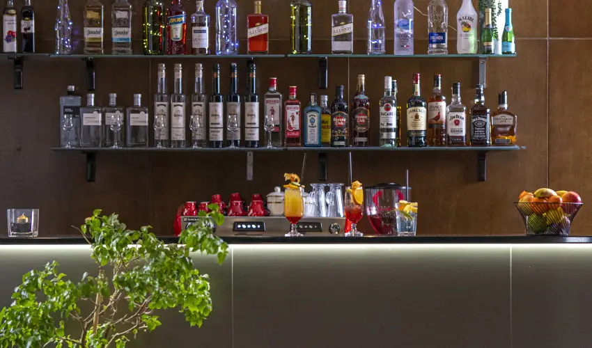 Willis Hotel Business & Wellness Zalaegerszeg