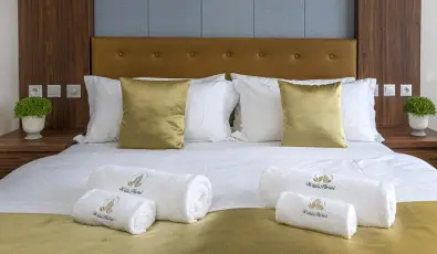 Willis Hotel Business & Wellness Zalaegerszeg