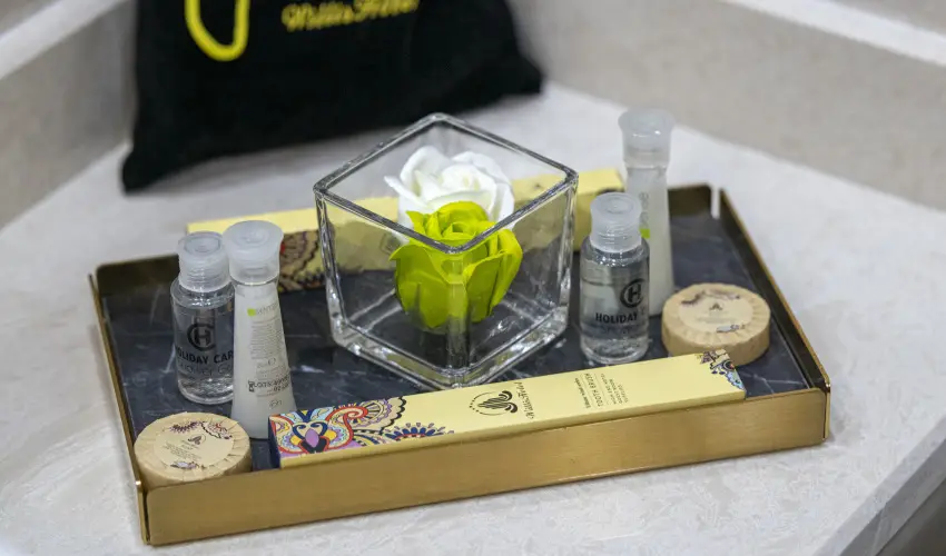 Willis Hotel Business & Wellness Zalaegerszeg